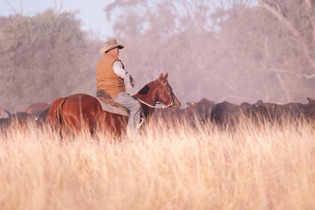 Innovation spotlight: The Australian company making waves in global agriculture