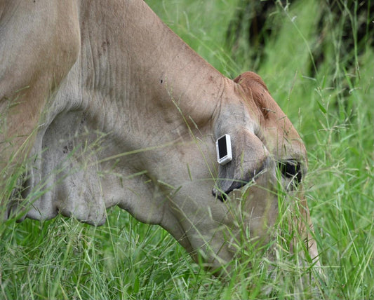 Talking Agritech with Ceres Tag