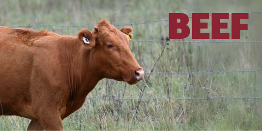 CERES TAG: Leading the charge in livestock management and productivity across the U.S.