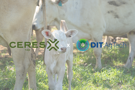 Partnering with DIT AgTech to Bring CERES TAG to More Farmers