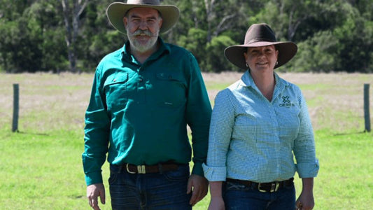 Game-changing ear tags unlock data for the livestock industry