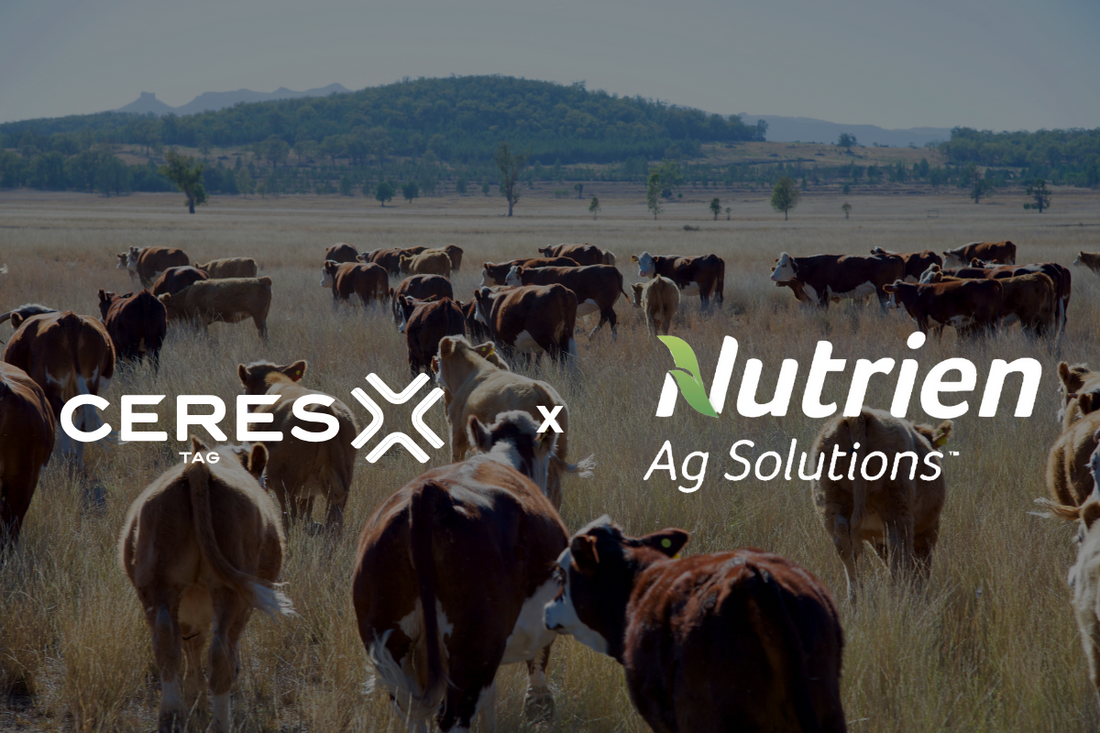 CERES TAG Announces New Distribution Partnership with Nutrien Ag Solutions.