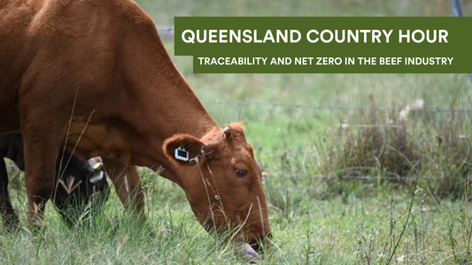 Queensland Country Hour