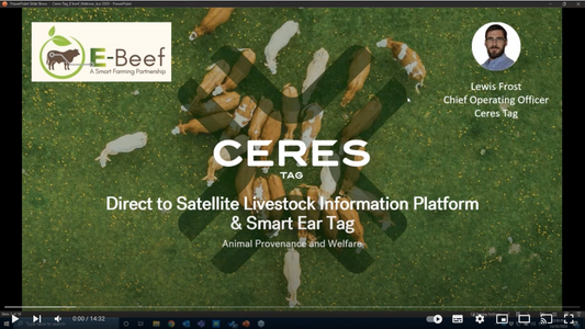 Direct to Satellite Livestock Information Platform and Smart Ear Tag (E Beef showcase #2)