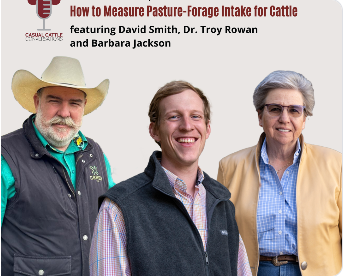 How to Measure Pasture-Feed Intake for Cattle