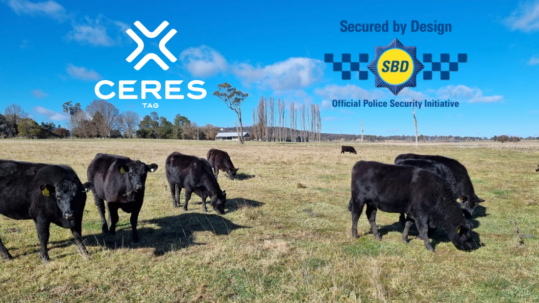 CERES TAG Earns SBD's Secure Connected Device Accreditation, Reinforcing Commitment to Livestock Security and Rural Crime Prevention