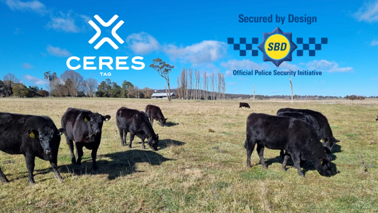 CERES TAG Earns SBD's Secure Connected Device Accreditation, Reinforcing Commitment to Livestock Security and Rural Crime Prevention