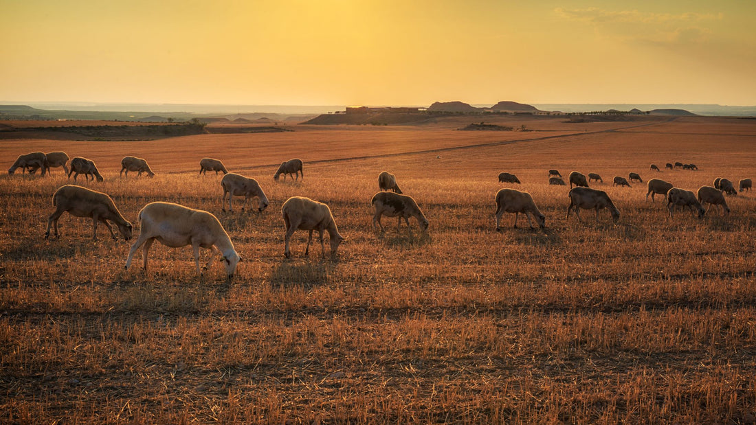 Top three tips to reduce stock theft