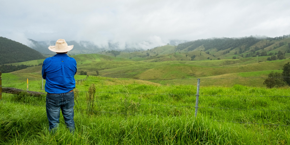 The story telling power of agritech: how data is helping Macka’s Australian Black Angus Beef tell a story that’s worth hearing