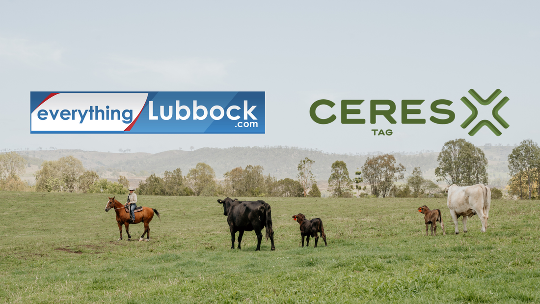 Satellite Technology Gives Ranchers a New Way to Track Cattle Health