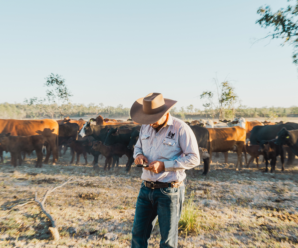 better-health-outcomes