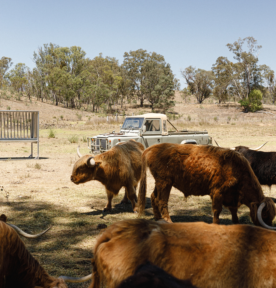 why-choose-ceres-tag-prod-1 why-choose-ceres-tag-prod-1