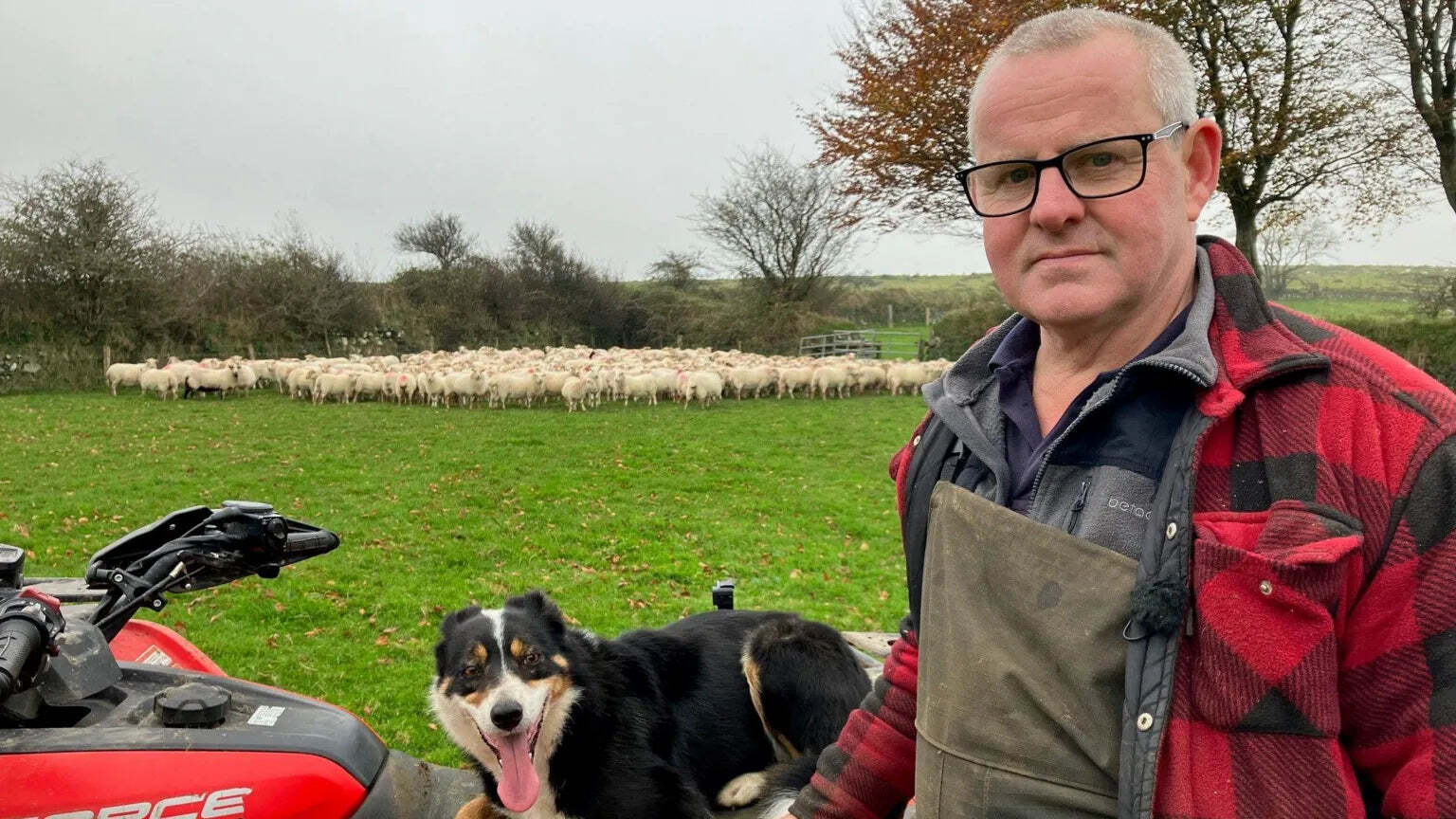 I've lost 4,500 sheep to thieves on Dartmoor'
