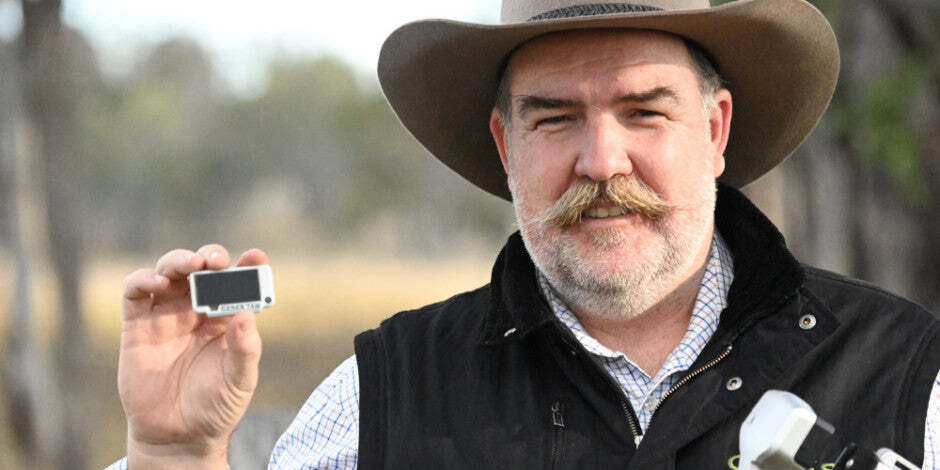 Simplicity and scalability the key to CERES TAG's global approach