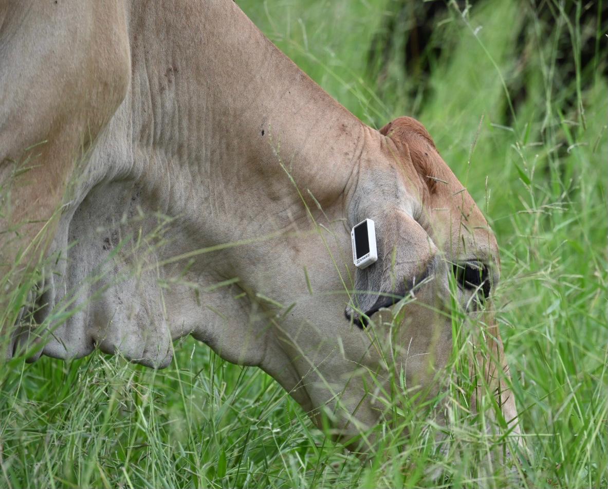 Talking Agritech with CERES TAG