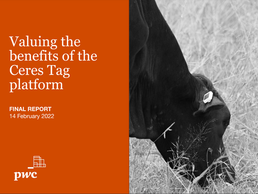 PwC CERES TAG Report