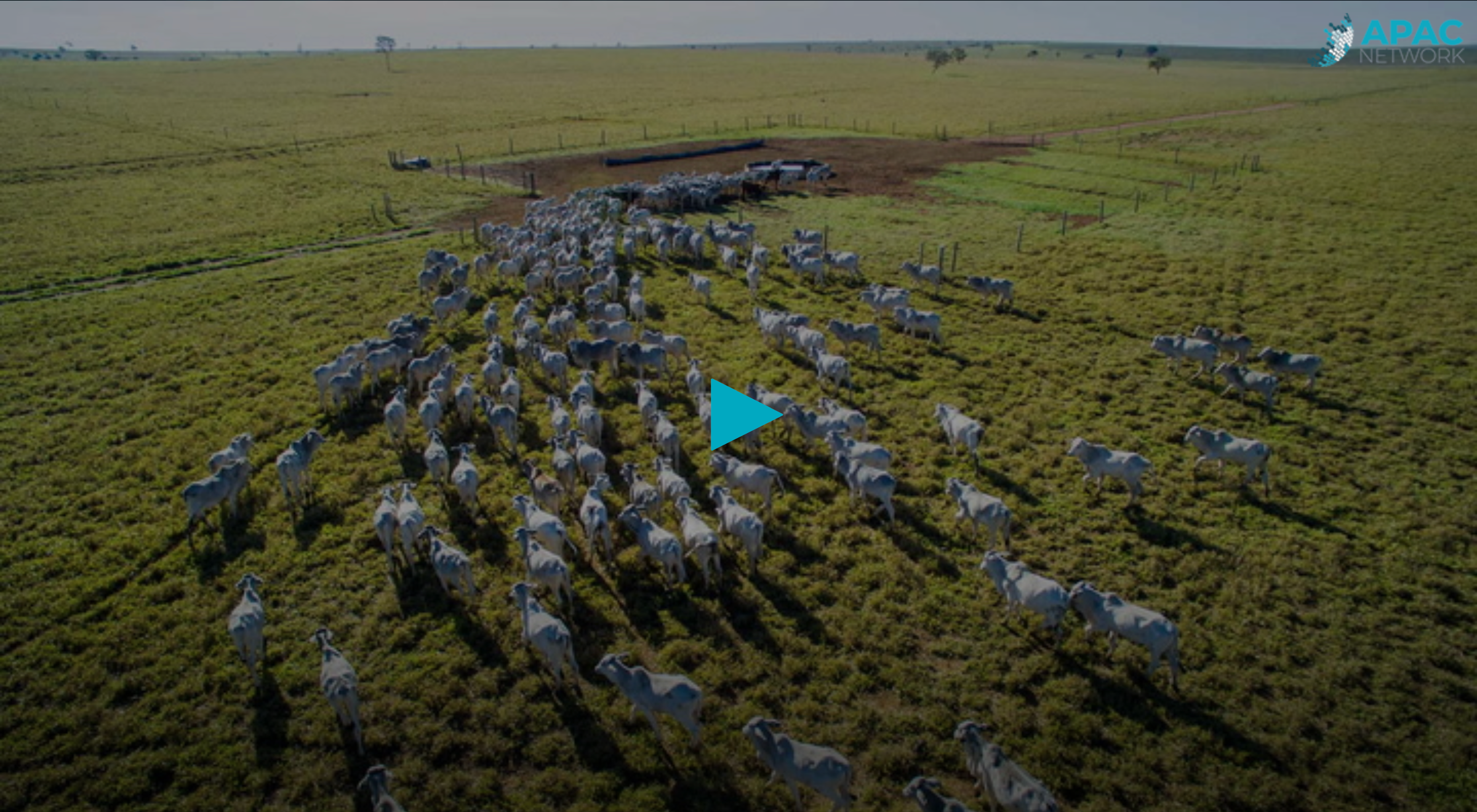 Tech meets turf in livestock management