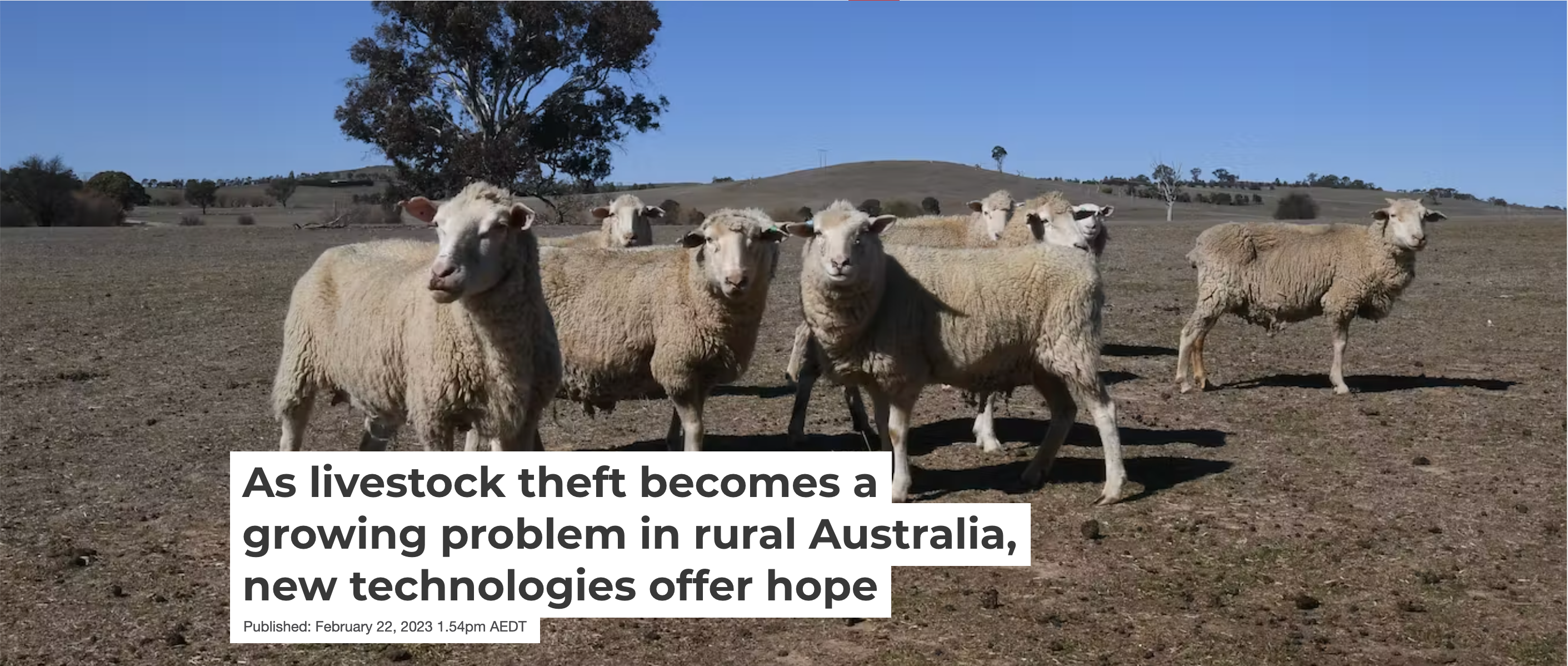 As livestock theft becomes a growing problem in rural Australia, new technologies offer hope