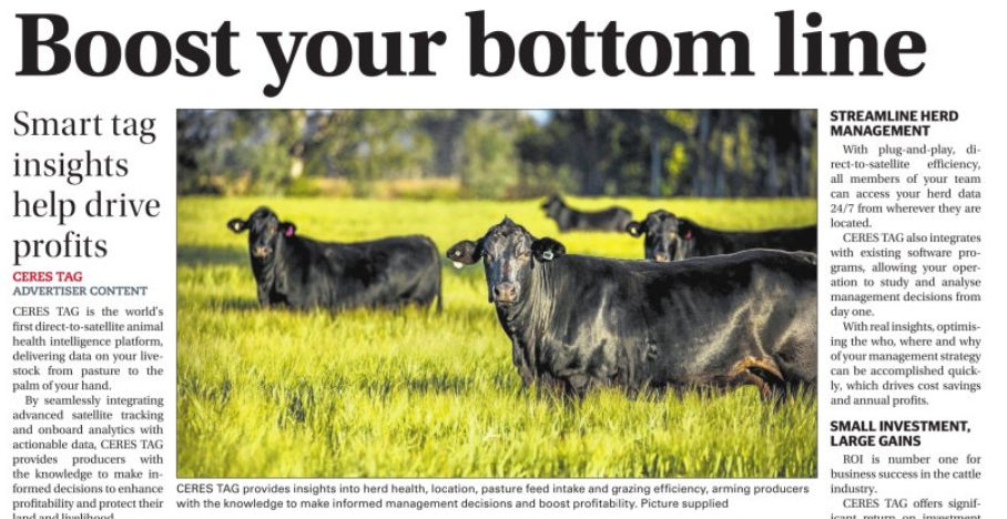 Boost Your Bottom Line