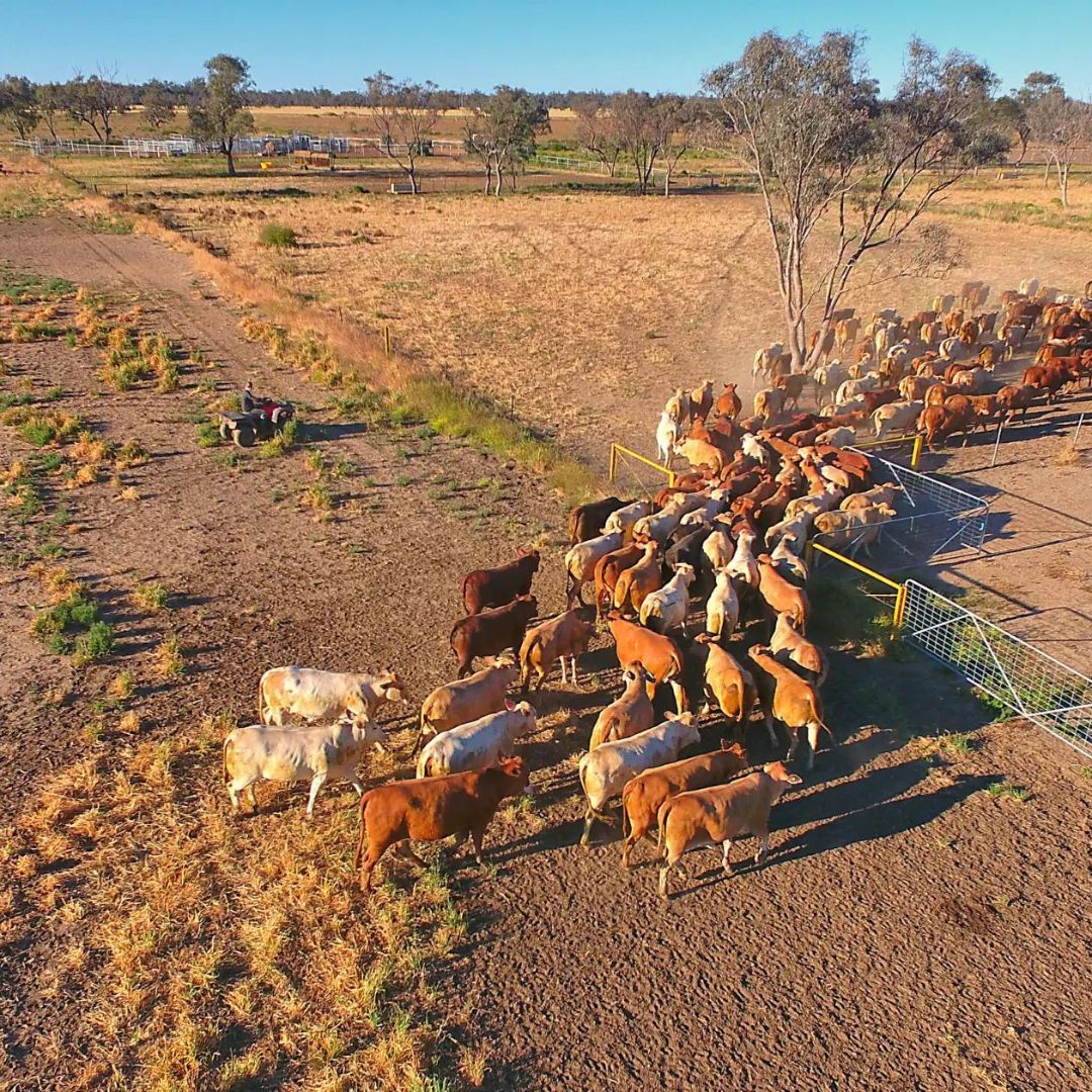 But How Many Tags Do I Need?