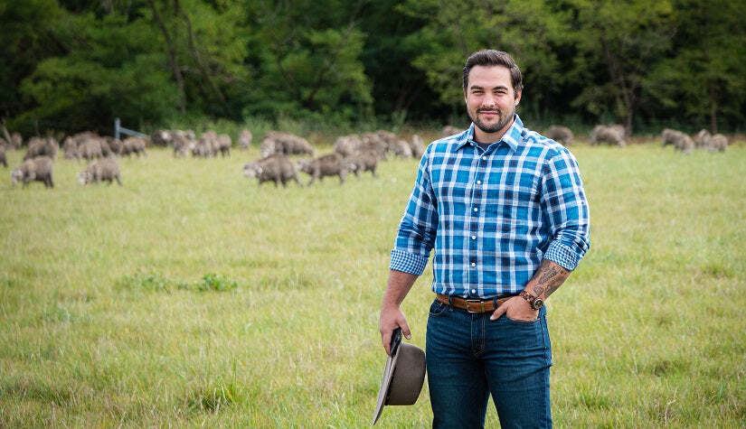 Smart ear tag trial a world-first in stock theft prevention