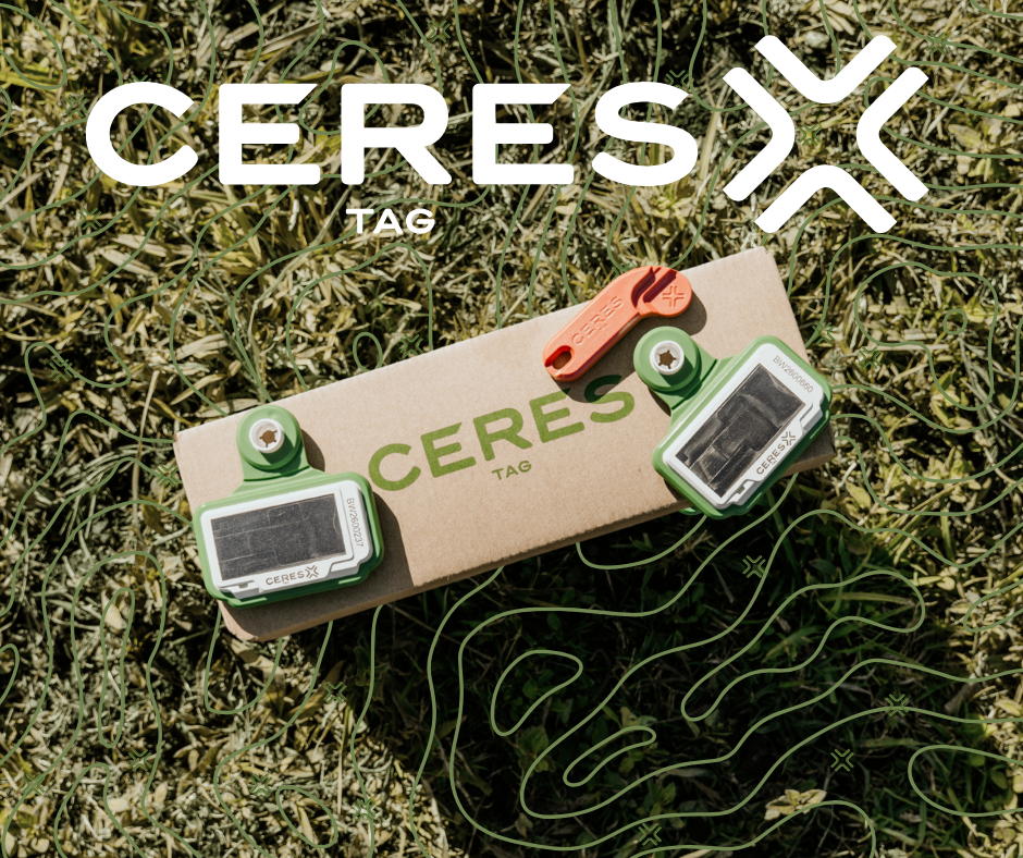 Trademark and patent image