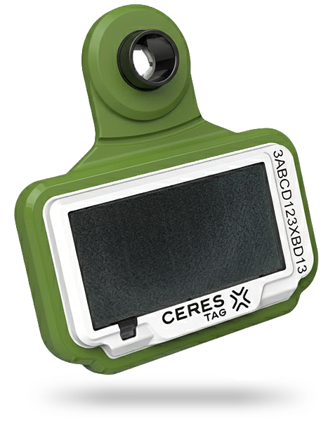 prod-info_component-gen6